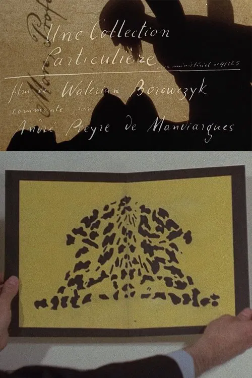 A Private Collection movie poster