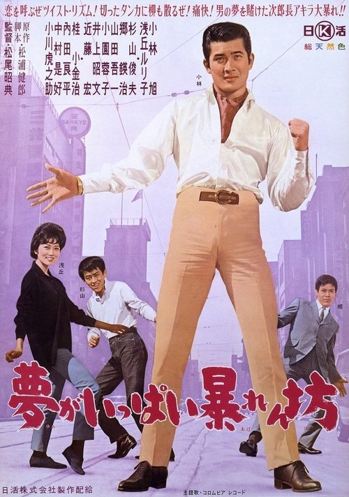 Yume ga ippai abarenbō movie poster