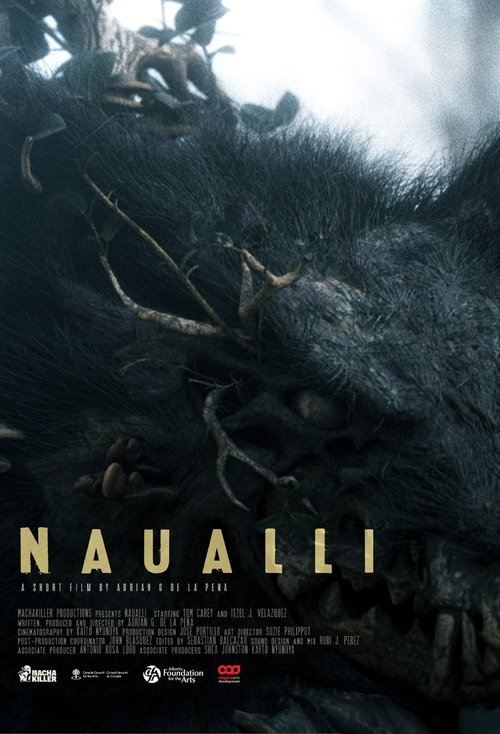 Poster do filme Naualli