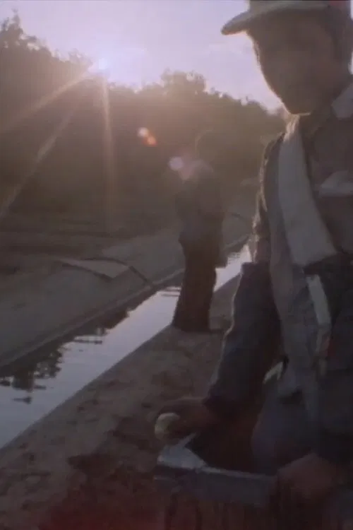 El otro lado movie poster