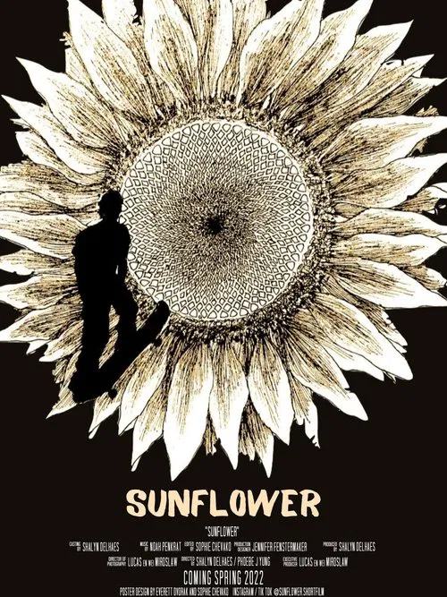 Poster do filme sunflower