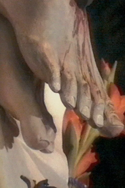 Poster do filme The Silence Is Baroque