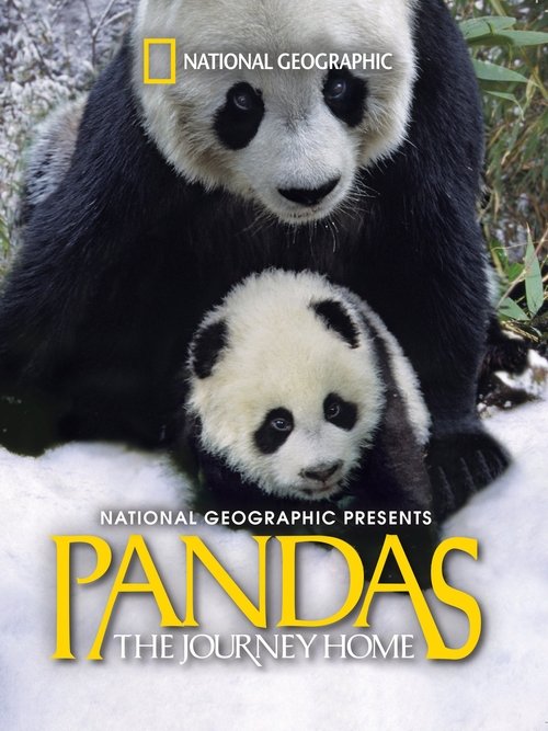Pandas: The Journey Home movie poster