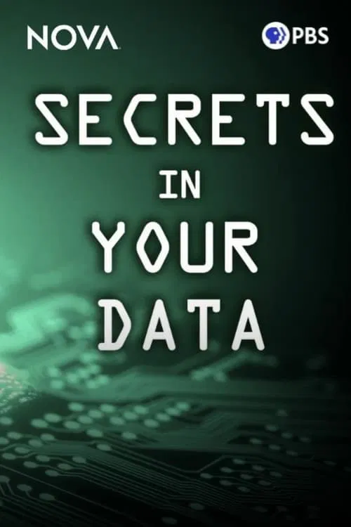 Secrets in Your Data movie poster