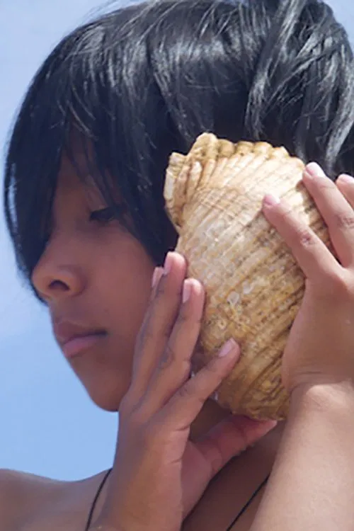 Time and the Seashell movie poster