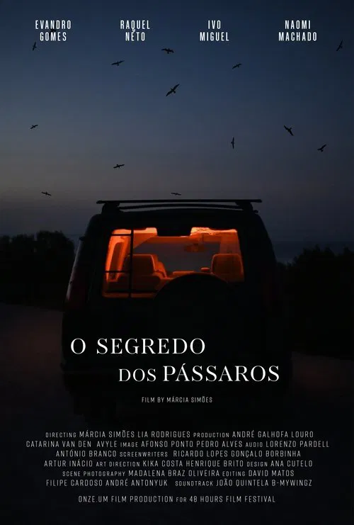 O Segredo dos Pássaros movie poster