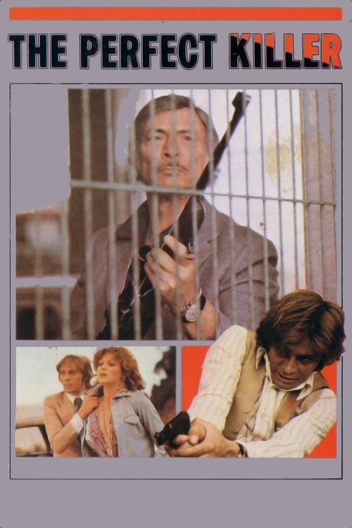 The Perfect Killer movie poster