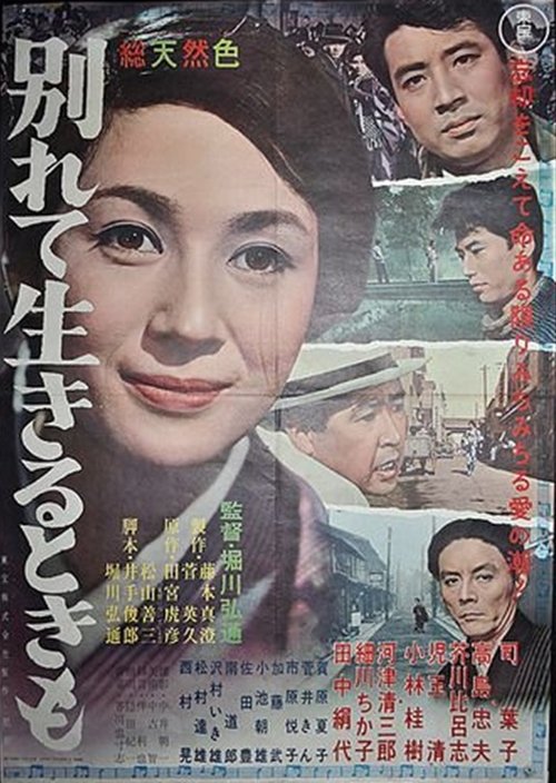 Poster do filme Wakarete ikiru toki mo