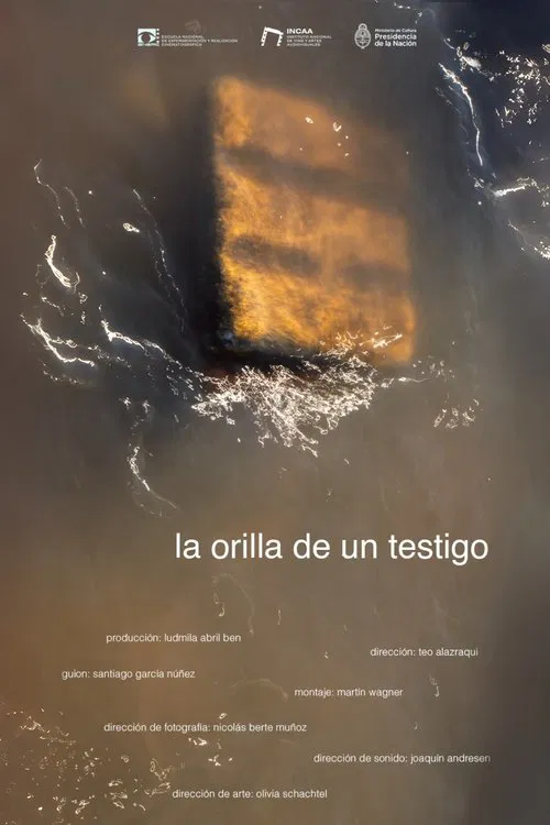 La orilla de un testigo movie poster
