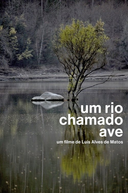 Um Rio Chamado Ave movie poster