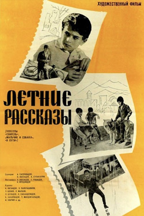 A summer stories movie poster