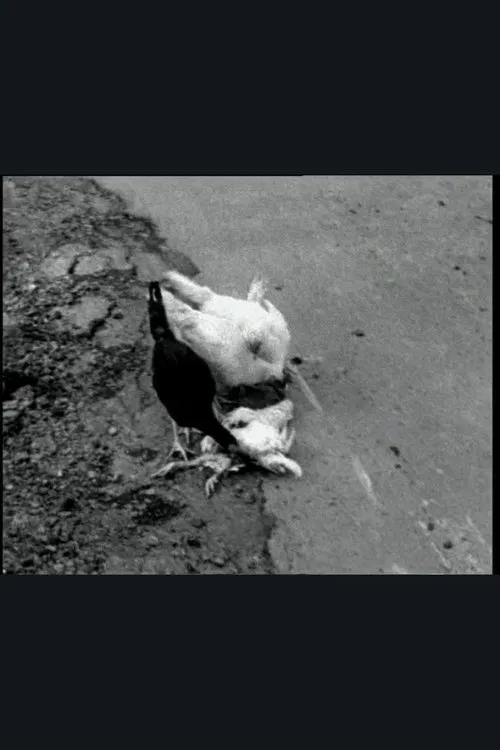 The Delmarva Chicken of Tomorrow movie poster