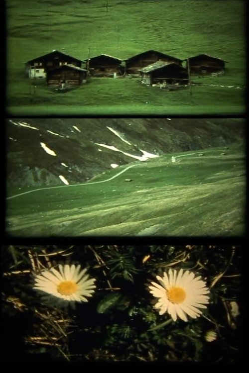 Spaziergänge movie poster