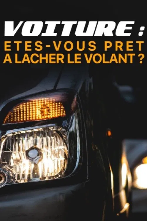 Voiture : êtes-vous prêts à lâcher le volant ? movie poster