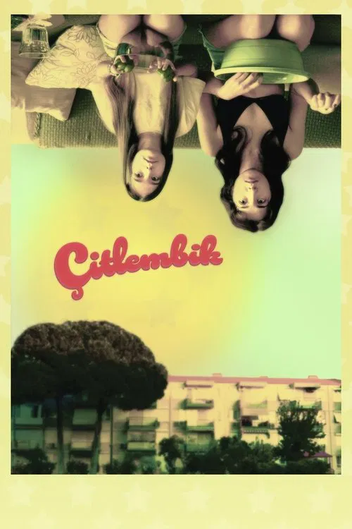 Çitlembik movie poster