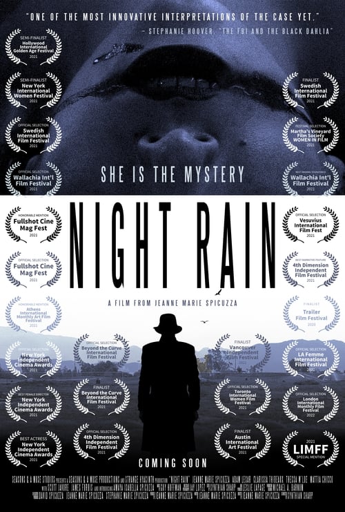 Night Rain movie poster