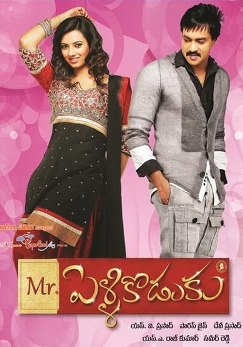 Mr.PelliKoduku movie poster