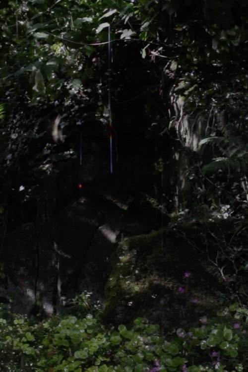 The Toby Tatum Guide to Grottoes & Groves movie poster