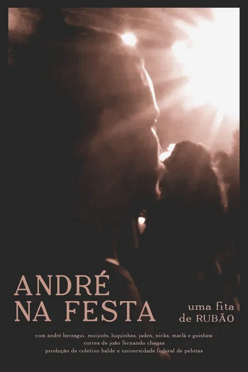 André na Festa movie poster