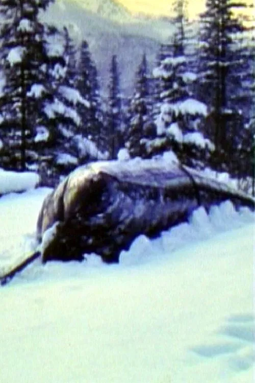 Air Cushion movie poster