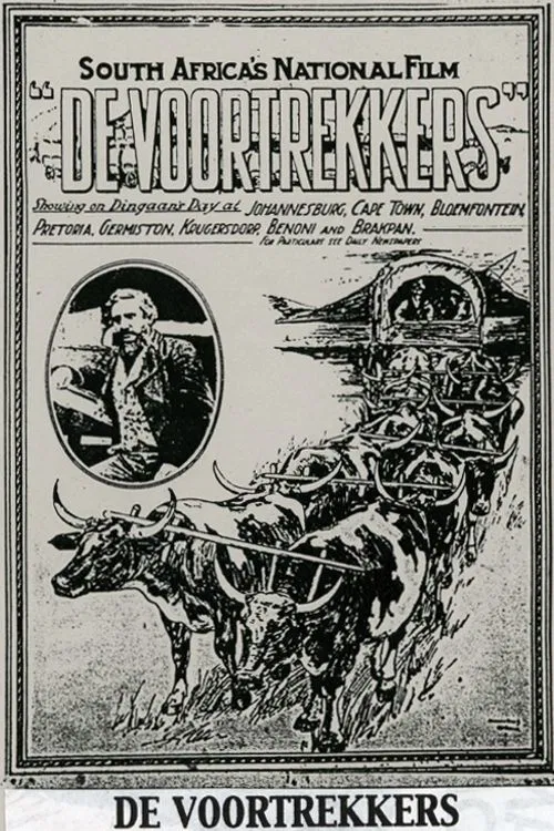 Winning a Continent movie poster