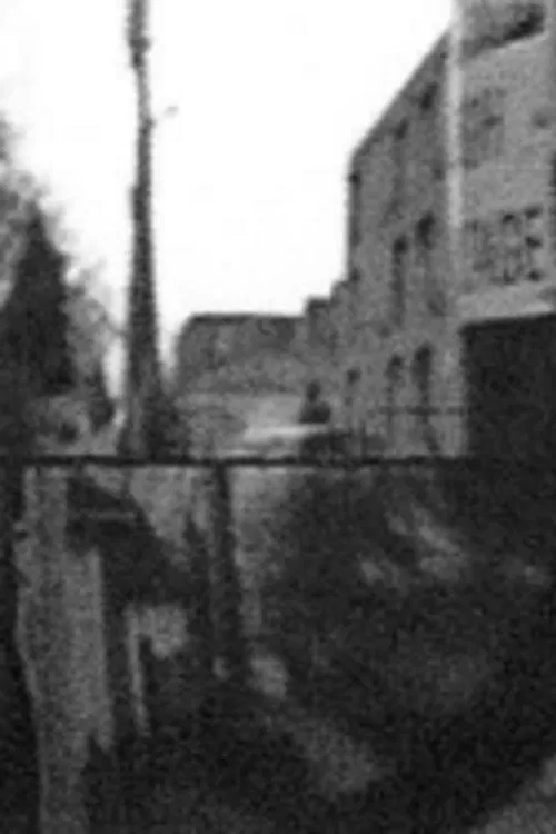 Poster do filme Blue Decoding