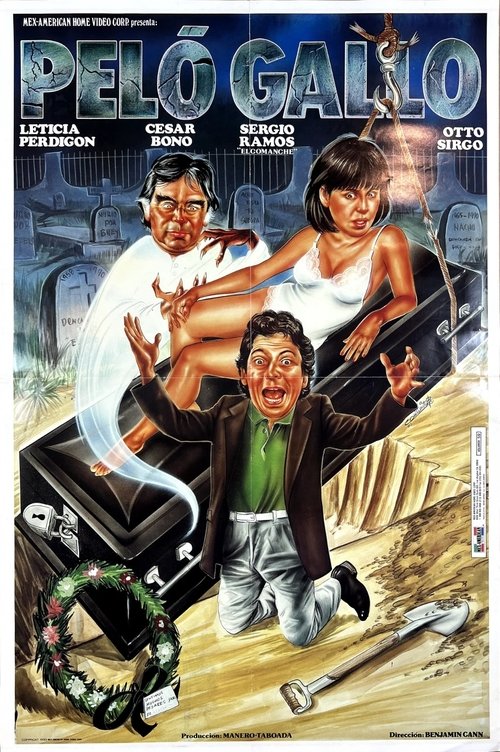 Poster do filme Peló gallo