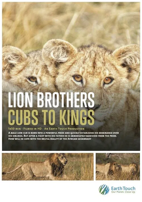 Lion Brothers: Cubs to Kings movie poster