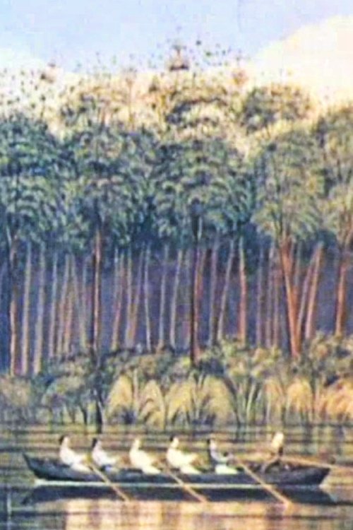 New Country - New People movie poster