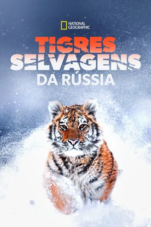 Poster do filme Tigres Selvagens da Rússia