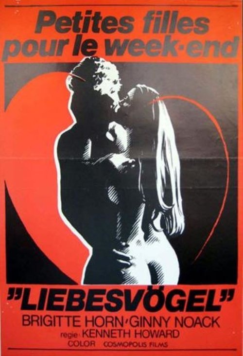 Die Liebesvögel - Küss mich da, wo ich es mag... movie poster