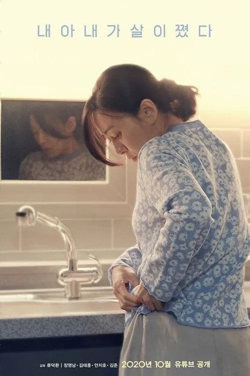 My Wife has Gained Weight movie poster