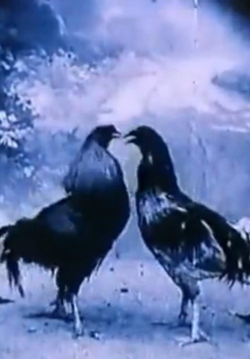 Criminal Animals movie poster