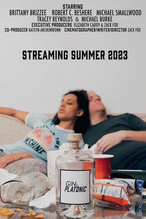 Gin & Platonic movie poster