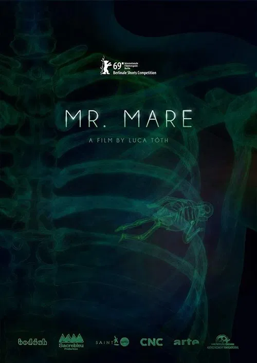 Mr. Mare movie poster