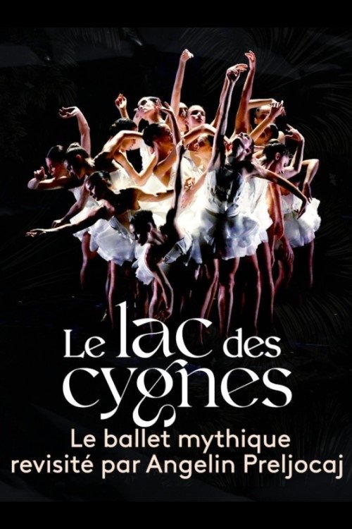 Le lac des cygnes au théâtre national de Chaillot movie poster