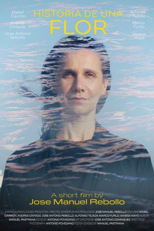 Poster do filme A Flower's Story