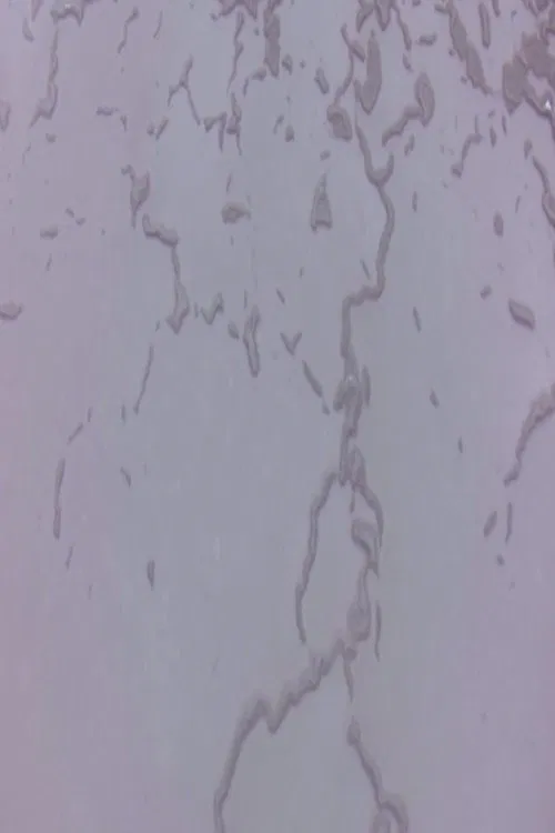 Captive Horizon movie poster