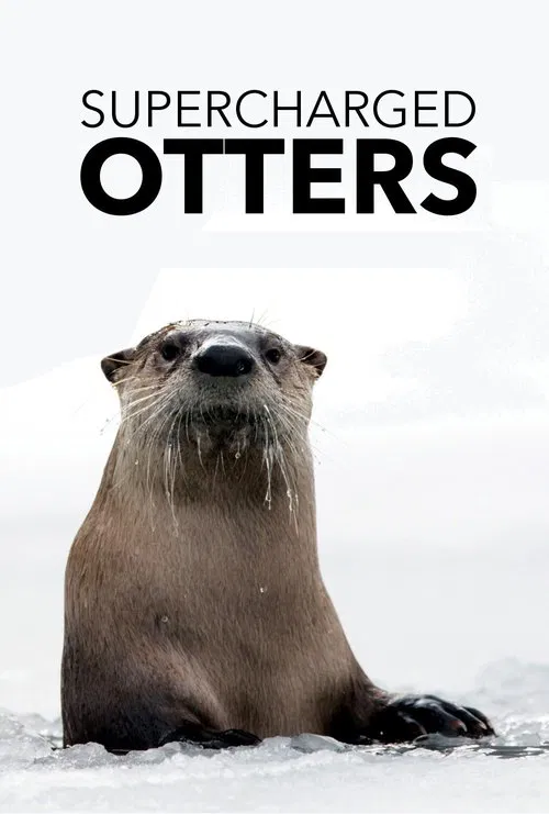 Supercharged Otters movie poster