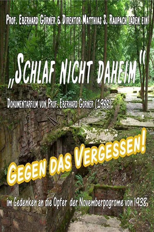 Poster do filme Schlaf nicht Daheim