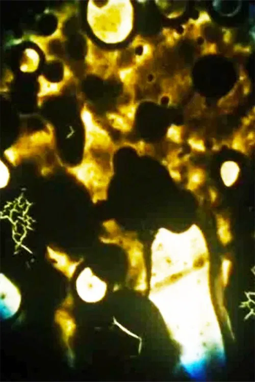 Microbes movie poster