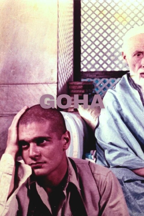 Poster do filme Goha