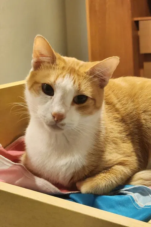 Barry profile picture