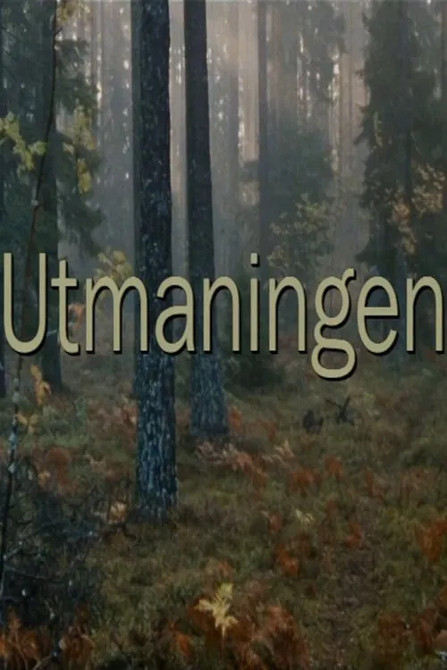 Poster do filme Utmaningen
