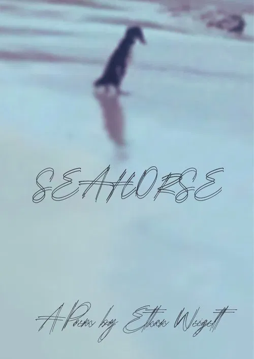 Seahorse movie poster