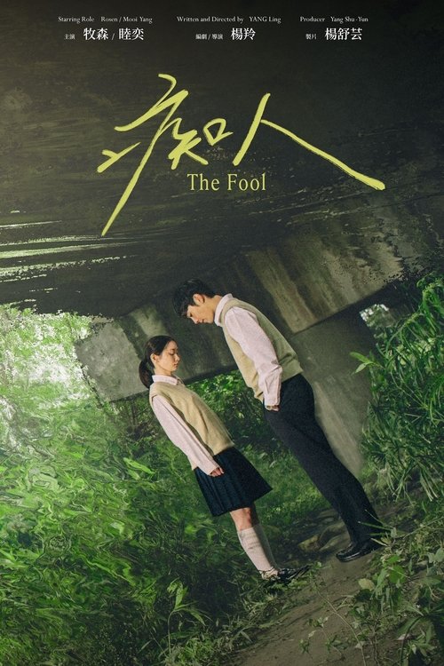 The Fool movie poster