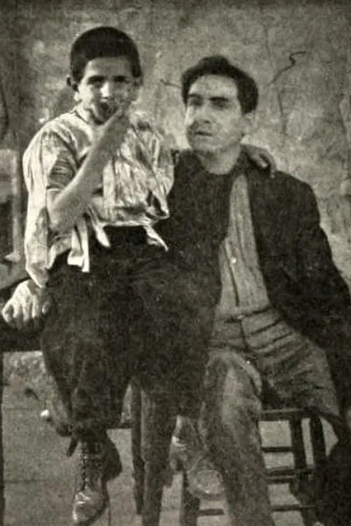 The Hungarian Nabob movie poster