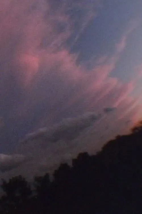 Brilliant Garden movie poster