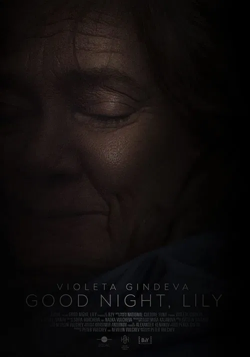 Good Night, Lily movie poster