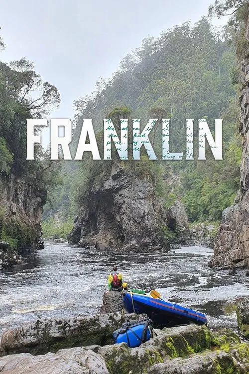 Franklin movie poster